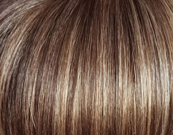 holly | natural collection holly Frosted