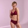bobette high waist brief by anita care