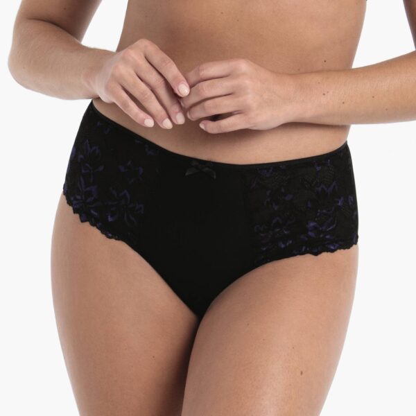 suzette high waist brief plus by anita rosa faia suzette high waist brief plus by anita rosa faia
